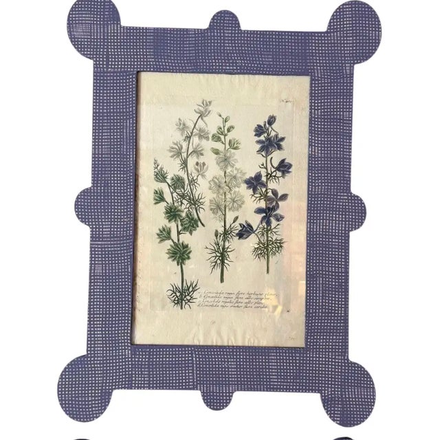 Sold individually Special set of 6 botanicals by Johann Wilhelm Weinmann (ca 1740-1750) displayed in custom matching hand...