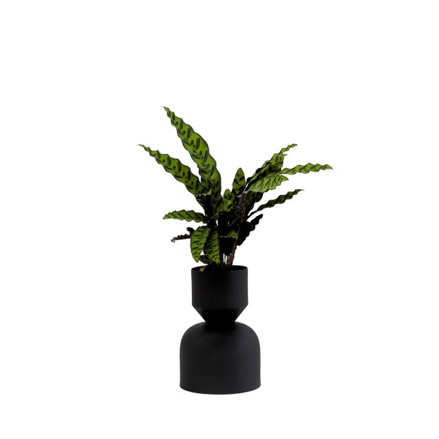 Midi Black Ada Planter by Llot Llov For Sale - Image 4 of 6