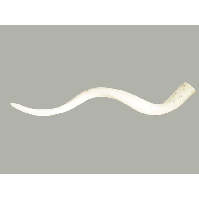 Ralph Lauren Vintage African Kudu Horn Antler For Sale - Image 4 of 10