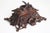 19th Century Swiss Black Forest Jewelry Box in Openly Carved Walnut, 1880 For Sale - Image 13 of 15
