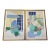 Coastal Modern Floral Still Life Paintings by Carolyn S. Connors, Signed & Dated 2013–2015 – Framed Pair For Sale