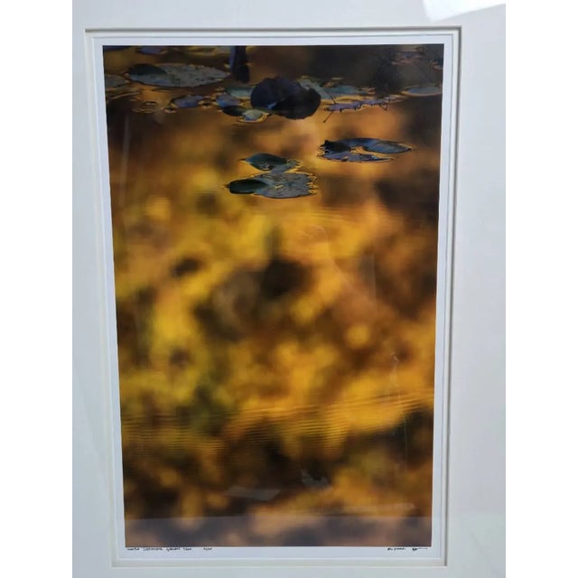 Late 20th Century Bill Pusztai Signed Limited Edition "Seattle Japanese Garden" Photograph & "Black Locust" Botanical Print - Framed Pair For Sale - Image 11 of 16
