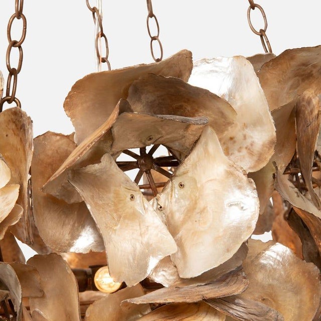 A true statement piece, this chandelier is crafted from hand-placed saddle oyster shells arranged in delicate florets,...