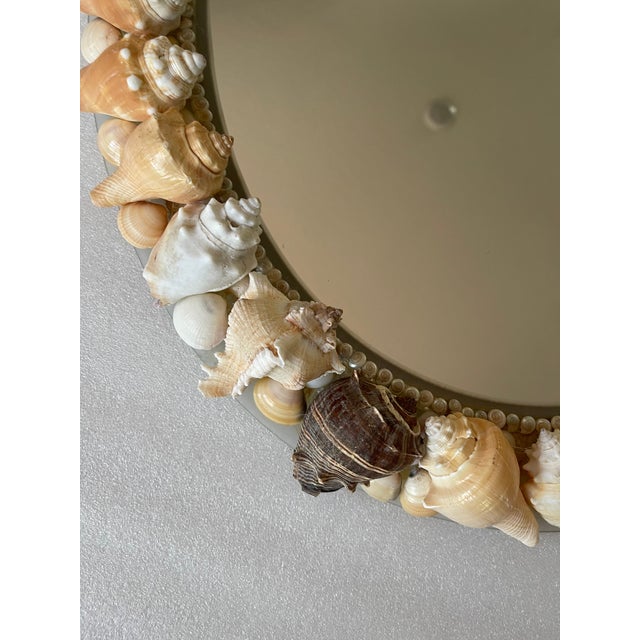 Sea Shell Encrusted Oval Mirror Tony Doucquett Style For Sale In Miami - Image 6 of 6