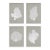 Coral Fans Study, Set Of 4 For Sale