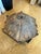 Antique Carved Wooden Architectural Element For Sale - Image 4 of 11