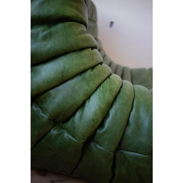 Dubai Green Leather Togo Lounge Chair, Corner and 2-Seat Sofa by Michel Ducaroy for Ligne Roset, 1979, Set of 3 For Sale - Image 9 of 14