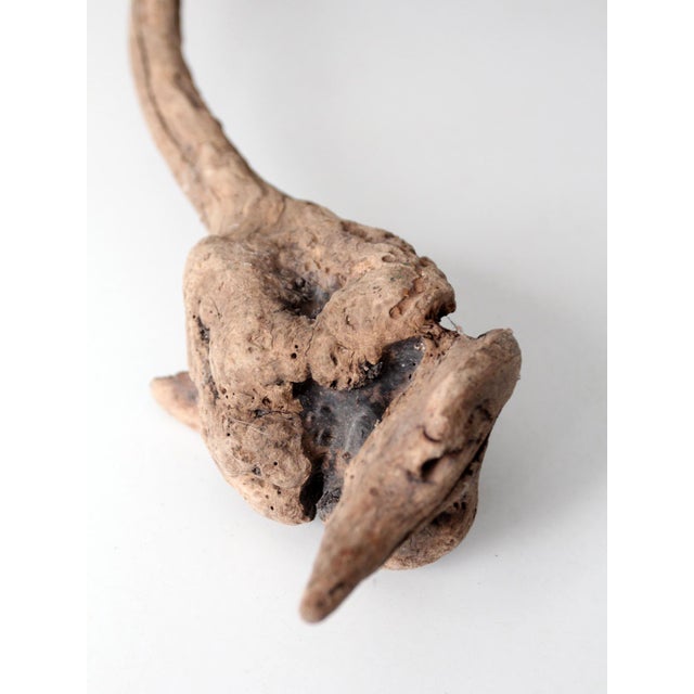 Wood Vintage Natural Driftwood Sculpture Organic Modern Display Wood For Sale - Image 7 of 12