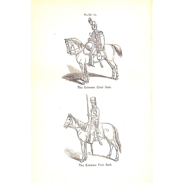 Traditional "Seats and Saddles" Dwyer, Francis For Sale - Image 3 of 8