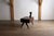 Wood Desk with Integrated Lamp by Pierre Jeanneret for Chandigarh, 1950s For Sale - Image 7 of 18
