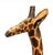 Mid 20th Century Mid 20th Century Hand-Carved Hardwood Giraffe Sculpture, African Folk Art For Sale - Image 5 of 9