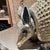 Surrealist Paper Mache Armadillo Sculpture Sergio Bustamante For Sale - Image 17 of 18