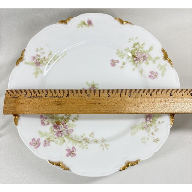 Antique Haviland & Elite Works Limoges Mixed Floral Collection - 12-Piece For Sale - Image 9 of 14