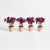 100% realistic a perfect copy of the Mini Oxalis, with its burgundy leaves and thin stems. This dropin is a nohassle work...
