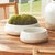 Kenneth Ludwig Chicago Leona Decorative Bowls, Set Of 2 For Sale - Image 4 of 4