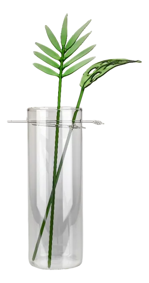Kansashi Tropical Vase from Casarialto