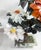 Gemstone 20th Century Chinese Chinoiserie Pair of Jade Trees With Nephrite, Carnelian and Rose Quartz For Sale - Image 7 of 18