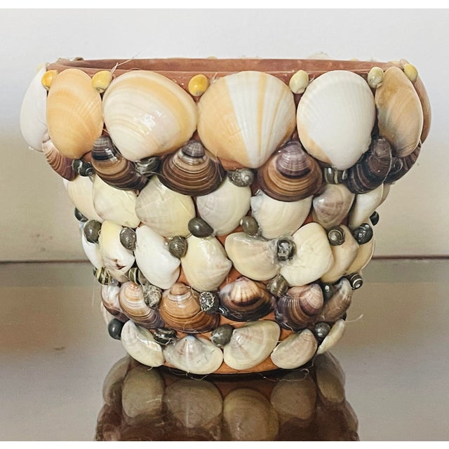 Cute small 5” top by 4” high sea Shell encrusted terracotta pots or planters.
