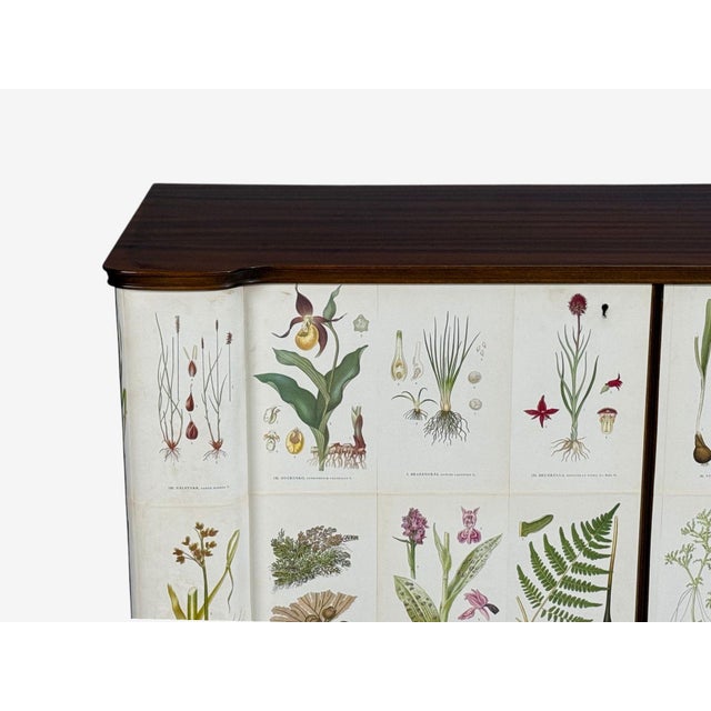 Swedish Modern, Monumental Nordens Flora Cabinet, Mahogany, Sweden, 1940s For Sale - Image 10 of 18