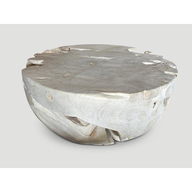 Andrianna Shamaris Organic Drum Shape Teak Wood Coffee Table For Sale - Image 11 of 18