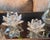 Swarovski Crystal Water Lily Lotus Flower Candle Holders (Set of 2, One Large, One Small) For Sale - Image 6 of 11