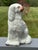 English 19th C. Staffordshire Porcelain Spaniel Dog Figurine - 9.5" Tall For Sale - Image 3 of 8
