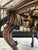 Wood Late 20th Century Baroque Tortoise Top Table For Sale - Image 7 of 11