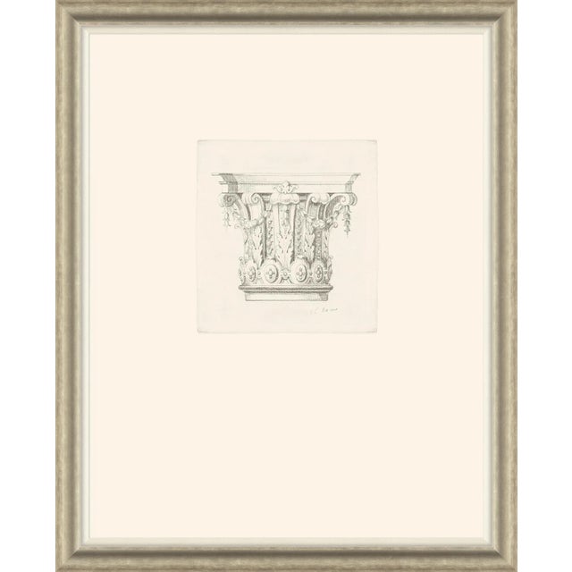 Traditional Colonna I, II, III & IV Framed Art Prints - Set of 4 For Sale - Image 3 of 6