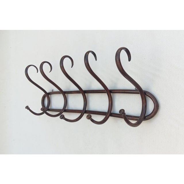 Vintage Wall Coat Rack in Bentwood, 1950s For Sale - Image 6 of 6