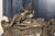 Victorian Antique Art Nouveau Metal Dresser Box Casket Lady on Bear Skin Rug For Sale - Image 3 of 18