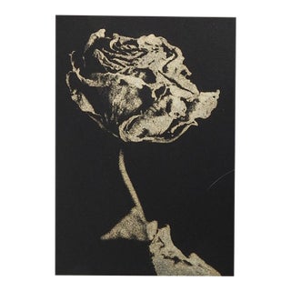 Late 20th Century Cyanotype in Gray Rose Photograph For Sale