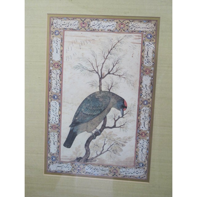 Wood A Barbet Persian Mughal Empire Blue Throated Bird Script Print For Sale - Image 7 of 7