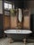 Anglo-Indian Hardwood Calypso Screen, 1890s For Sale - Image 9 of 10