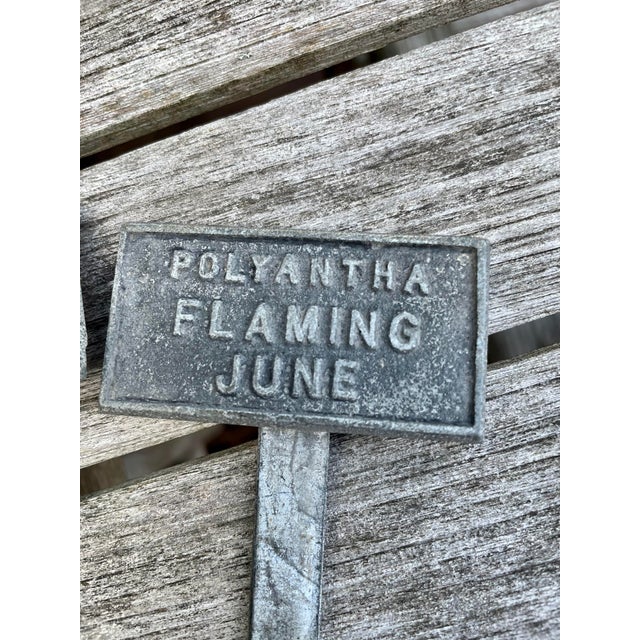 Set of Five Antique English Zinc Garden Markers Chairish