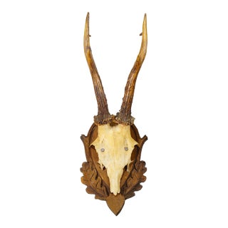 Vintage Black Forest Red Deer Trophy on Carved Plaque, Germany 1950s For Sale