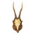Vintage Black Forest Red Deer Trophy on Carved Plaque, Germany 1950s For Sale