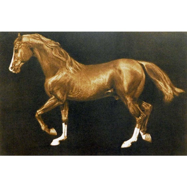 "Ben Rabba" by G.H Rothe Original Limited Edition Mezzotint on Paper Hand Signed &Titled by the Artist Paper Size: 15" x...