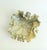 Beautiful vintage hand carved soapstone bowl featuring an organic lotus leaf form with detailed carved floral accents and...