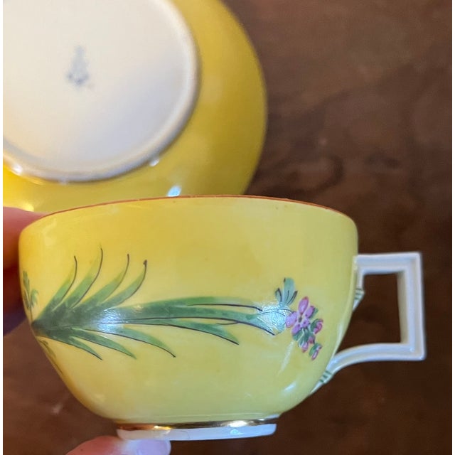 Antique 19th Century Meissen Porcelain Tea Cup and Saucer With Tropical Floral Decoration on a Bright Yellow Ground For Sale - Image 9 of 11
