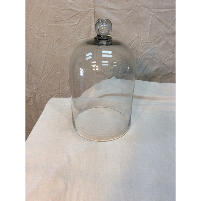 1800s French Glass Dome, Cloche With Solid Glass Knob Handle For Sale - Image 12 of 12