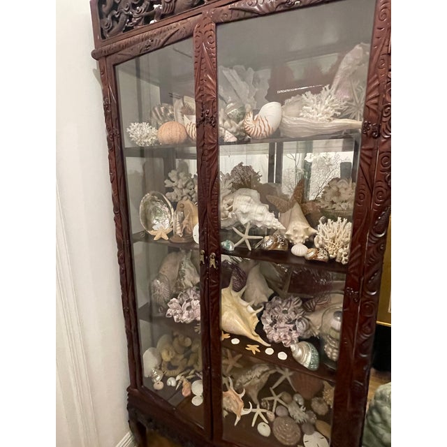Chinoiserie 1900-1909 Great Seaworld Sea Shells Specimens Collection in Chinese Chinoiserie Rosewood Carved Vitrine For Sale - Image 3 of 14