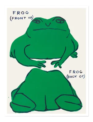 David Shrigley, Frog, 2021