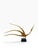 Meloniski, Depicting a Bird in Flight, 1950s, Metal, in Flawless conditions. Designed 1950 to 1959