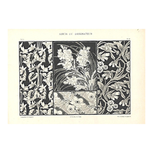 1900 Antique French Art Nouveau Floral Design Lithograph by Maurice Dufrene