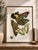 Black Art Deco Butterflies by E. A. Séguy, Vintage Art Print Reproduction, 32" X 48" For Sale - Image 8 of 13