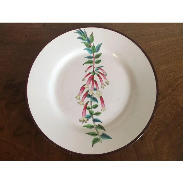 Ceramic Early 19th Century English Creamware Botanical Plates with Named Flower Specimens - A Pair For Sale - Image 7 of 10