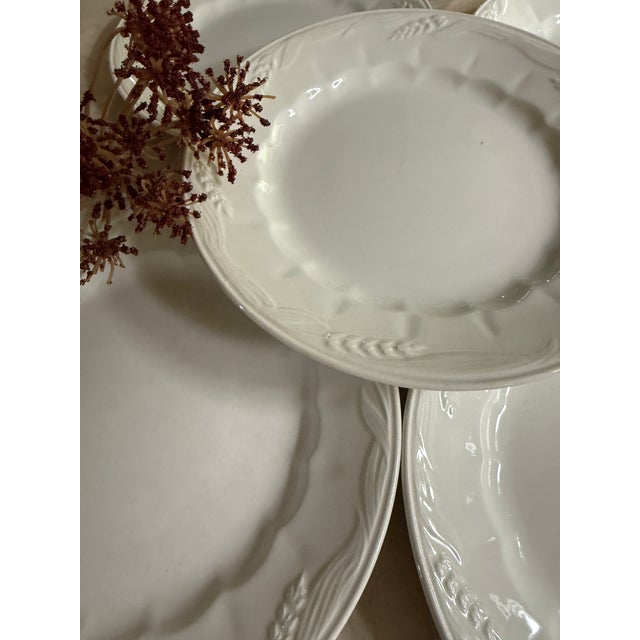 Royal Crownford 1950s Set of Five (5) Royal Crownford Wheat Ironstone 8” Plates, Made in England, Embossed White Ironstone Dinnerware For Sale - Image 4 of 8