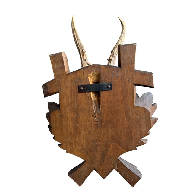 1940s Roe Deer Trophy 185 Black Forest Antlers For Sale - Image 5 of 5