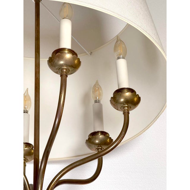 Mid 20th Century Mid 20th Century Restored Six Arm Brass Drum Shade Chandelier For Sale - Image 5 of 8