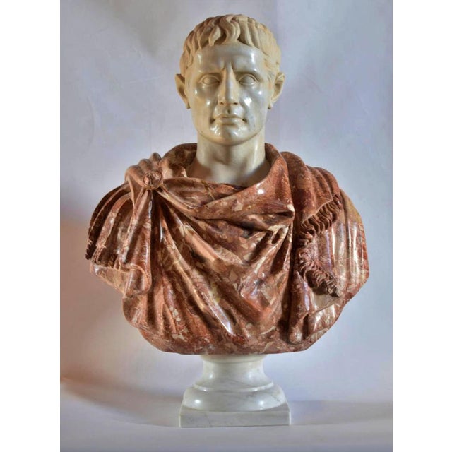 White End 20th Century Bust of Octavian Augustus in Breccia Pernice and White Carrara For Sale - Image 8 of 9